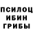 Галлюциногенные грибы мухоморы Kent Johnson