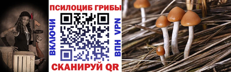 Галлюциногенные грибы Psilocybine cubensis  Купить  Славянск-на-Кубани 